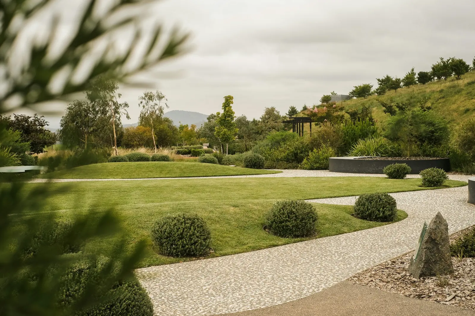 Curved garden paths beside a neatly edged lawn, rounded shrubs, and layered planting