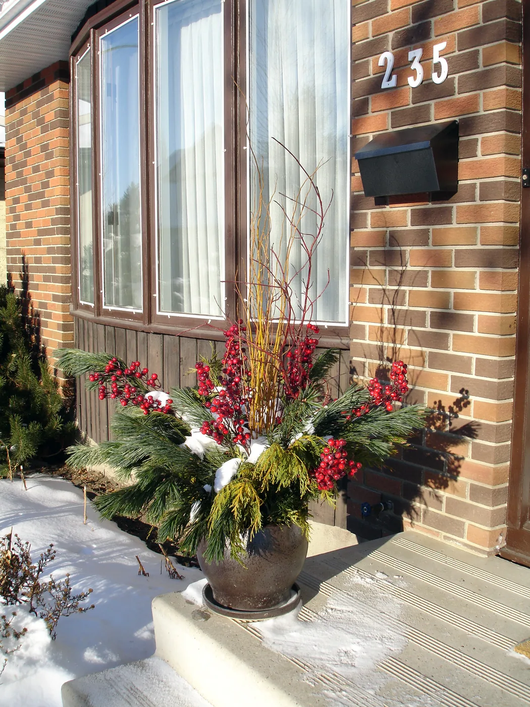 Christmas planter inspiration with pine, cedar, red berries and tall golden and red branches in a rustic pot