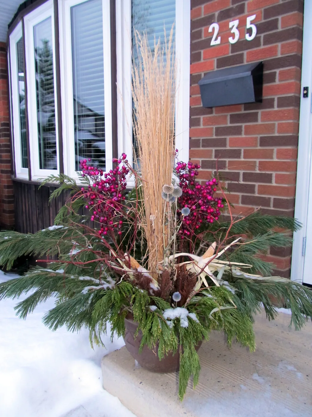 Winter planter inspiration with tall golden grasses, purple berries, dried seedheads and cascading evergreens