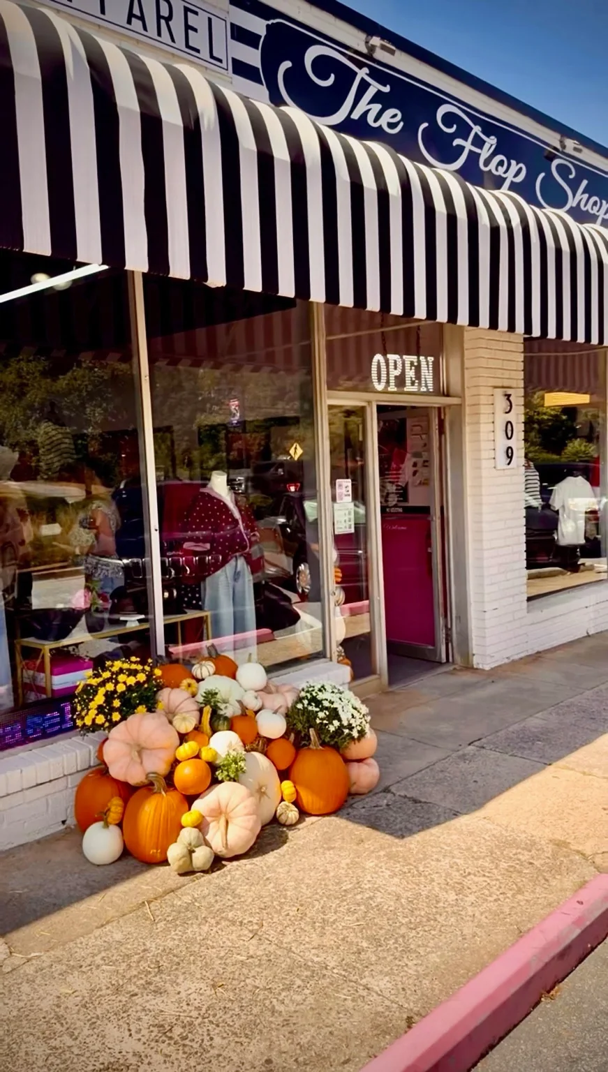 Pumpkins, gourds and yellow and white mums beneath a striped storefront awning