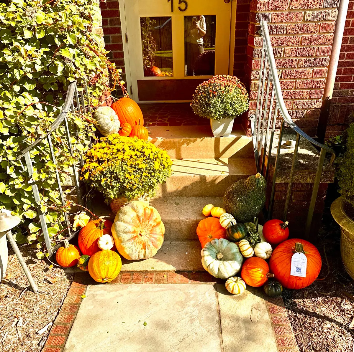 Pumpkins, gourds and yellow and rust-colored mums arranged along stone entry steps